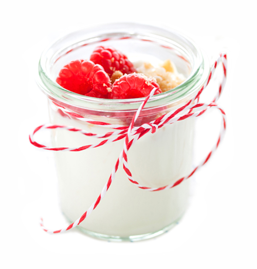 Yogurt y Prebioticos en Polvo